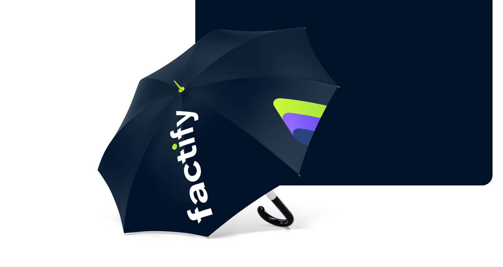 Factify case 120.jpg